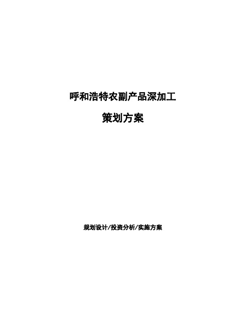 呼和浩特农副产品深加工策划方案