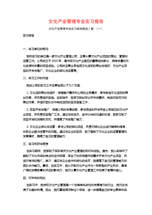 文化产业管理专业实习报告2篇