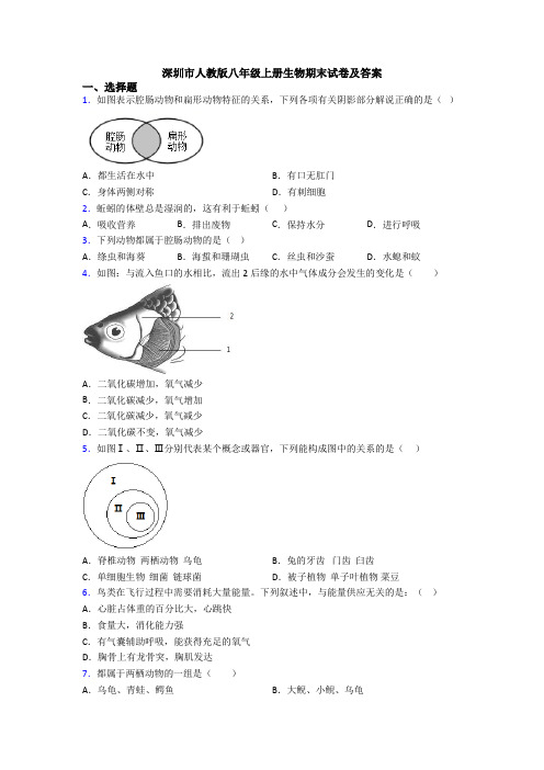 深圳市人教版八年级上册生物期末试卷及答案