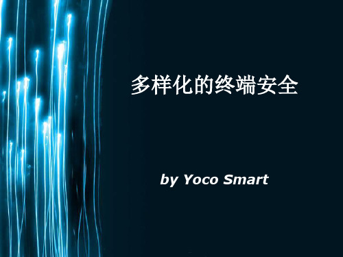 YoCo-Smart：终端机的多样化安全问题与利用