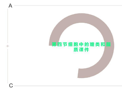第四节细胞中的糖类和脂质课件