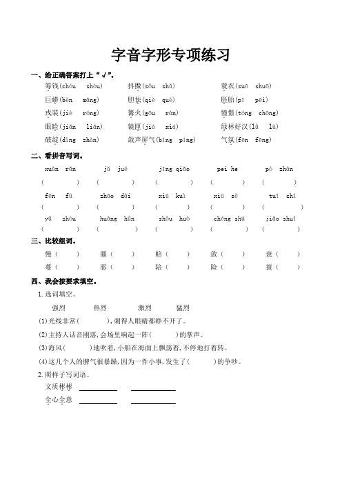 字音字形专项练习