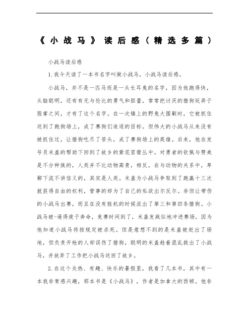 小战马读后感及心得多篇