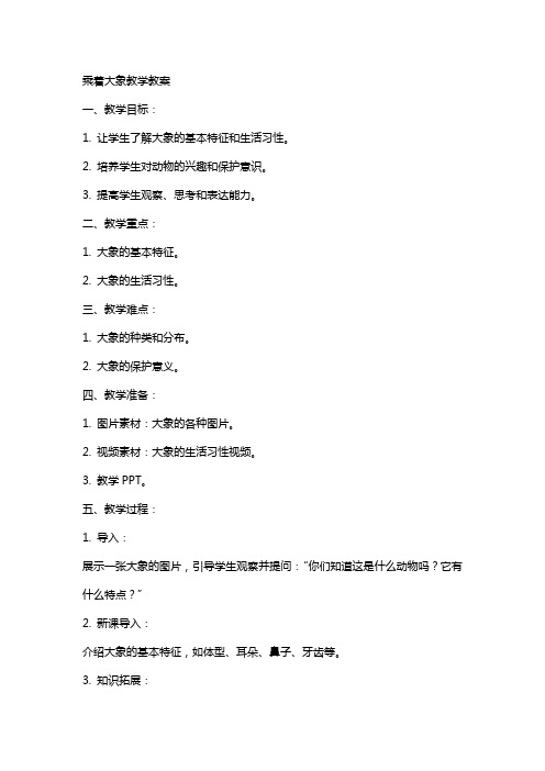 乘着大象教学教案