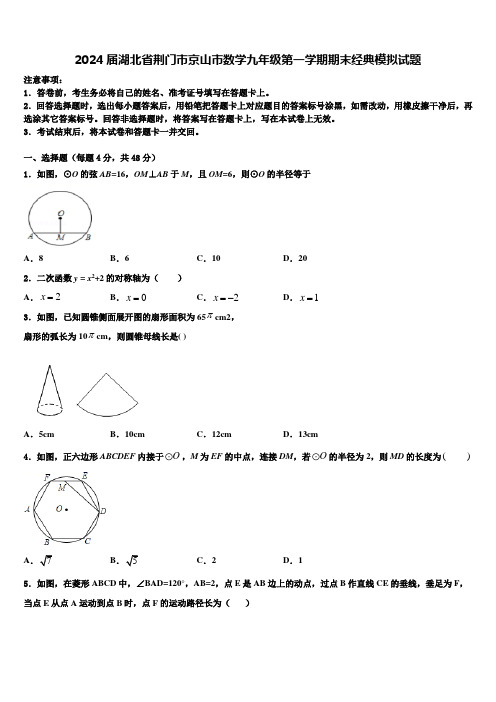 2024届湖北省荆门市京山市数学九年级第一学期期末经典模拟试题含解析