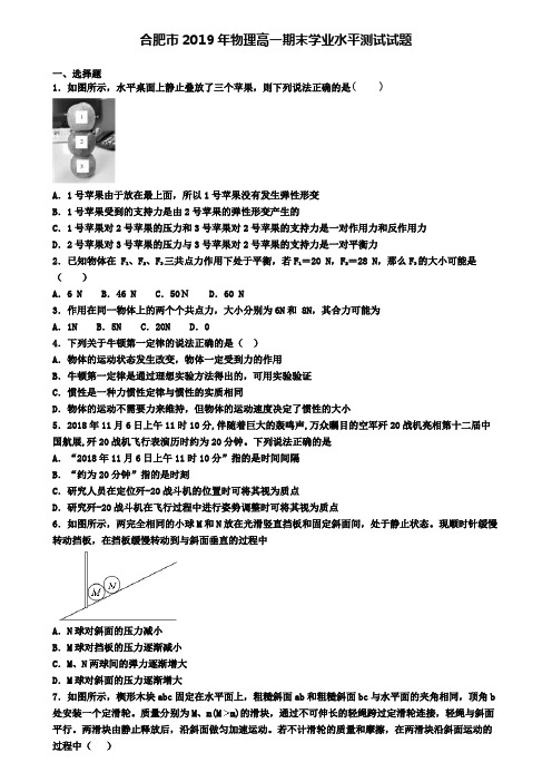 合肥市2019年物理高一期末学业水平测试试题