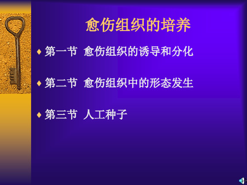 第二节愈伤组织中的形态发生