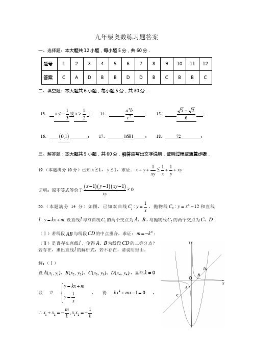 九年级奥数练习题目答案