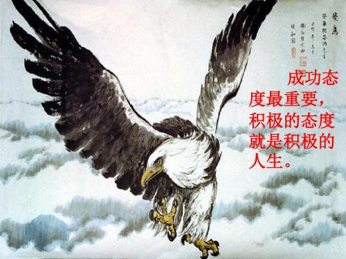 人教版数学七上 4.3.3 余角和补角 课件(共24张PPT)