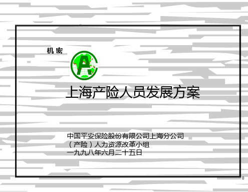 上海产险人员发展方案(PPT33页)