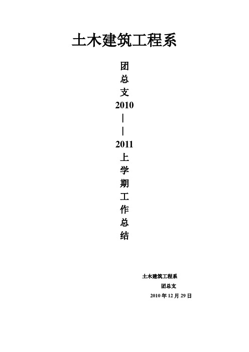 团总支2010年工作总结