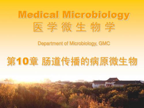 第10章 消化道传播的病原微生物-07肠道感染病毒