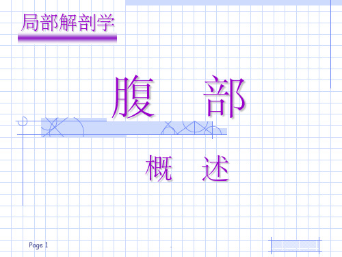 局部解剖学腹部