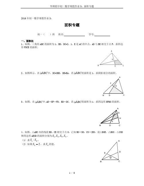 华师附中初一数学寒假作业3：面积专题