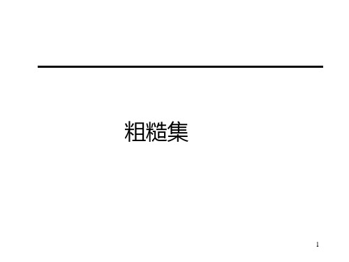 粗糙集 (ppt)