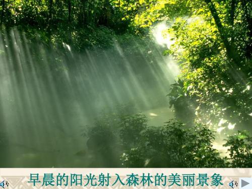 物质的分散系