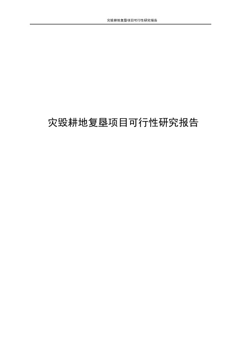 灾毁耕地复垦项目可行性研究报告