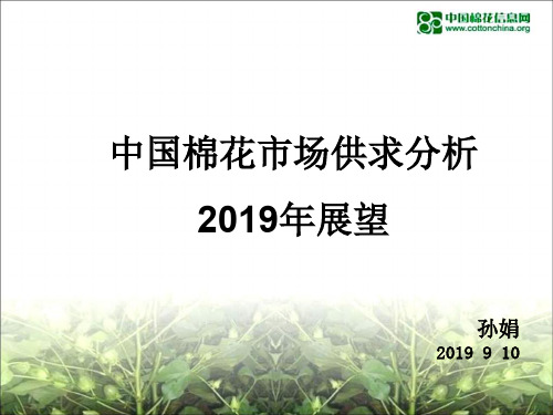 中国棉花市场供求分析2019