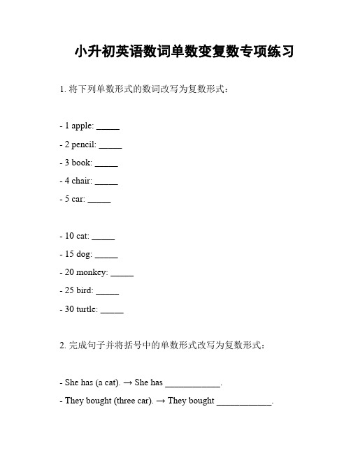 小升初英语数词单数变复数专项练习