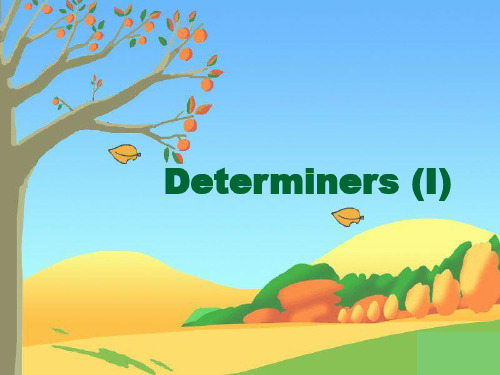 Determiners( Articles)语法练习