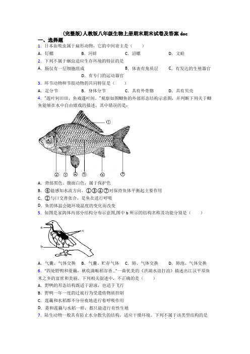 (完整版)人教版八年级生物上册期末期末试卷及答案doc