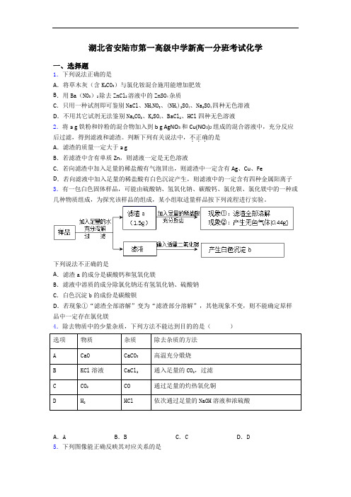 湖北省安陆市第一高级中学新高一分班考试化学