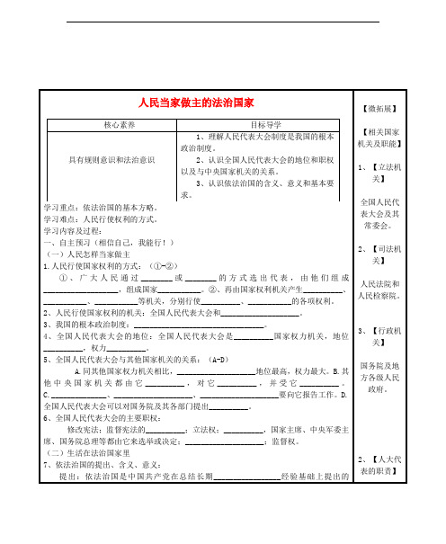 九年级政治全册 第三单元 融入社会 肩负使命 第六课 参与政治生活 第1框 人民当家做主的法治国家学