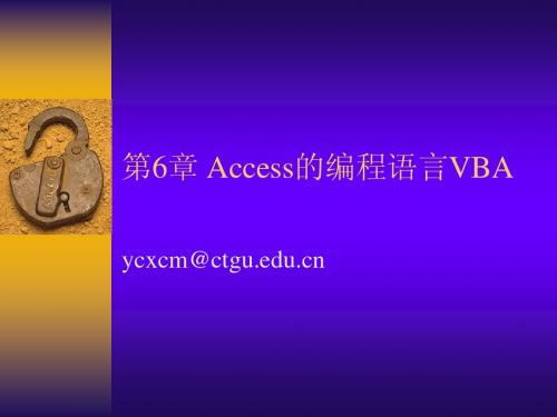 第6章 Access的编程语言VBA