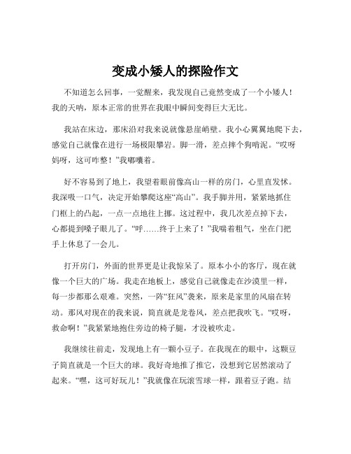 变成小矮人的探险作文