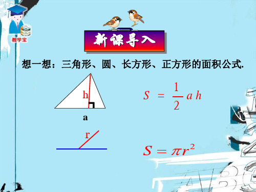 人教版七年级上册第二章 整式的加减2.1整式课件(共49张PPT)