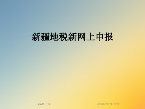 新疆地税新网上申报