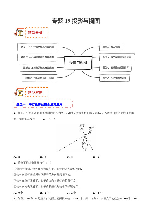 [数学]-专题19 投影与视图(题型归纳)(原版)