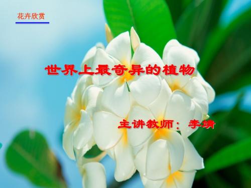 世界上最奇异的植物