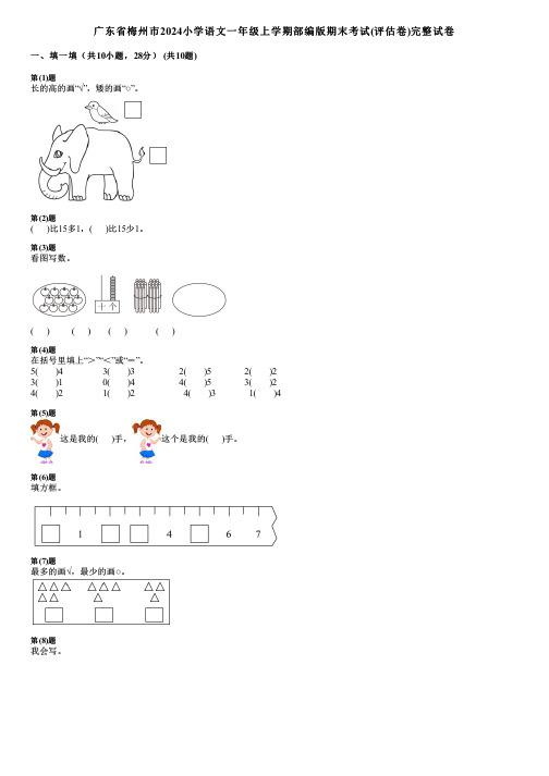 广东省梅州市2024小学数学一年级上学期部编版期末考试(评估卷)完整试卷