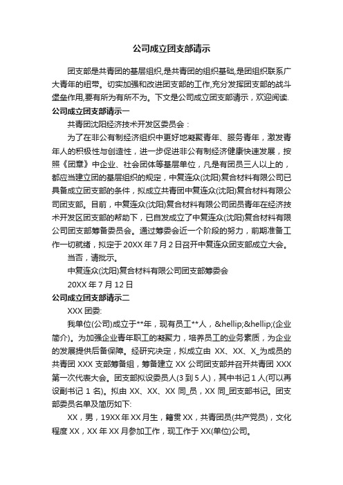 公司成立团支部请示