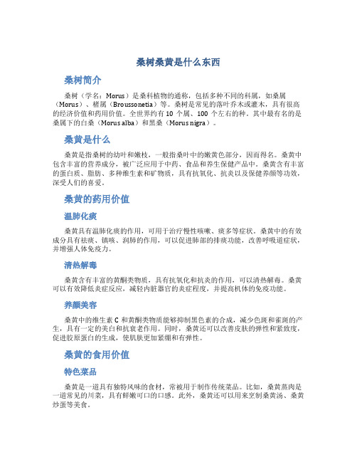 桑树桑黄是什么东西