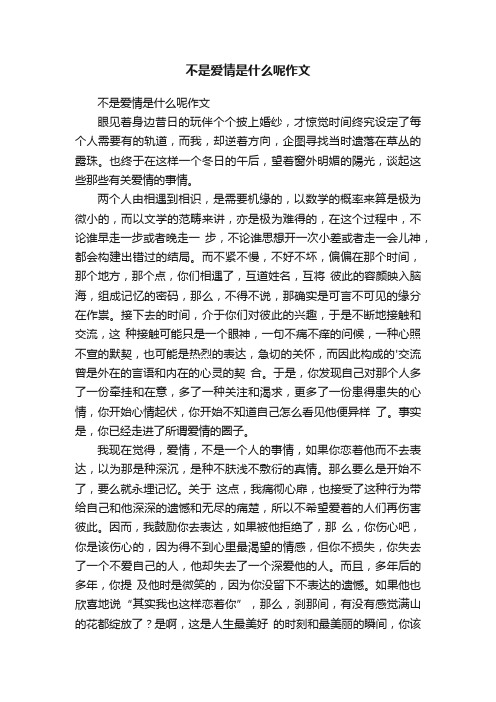 不是爱情是什么呢作文