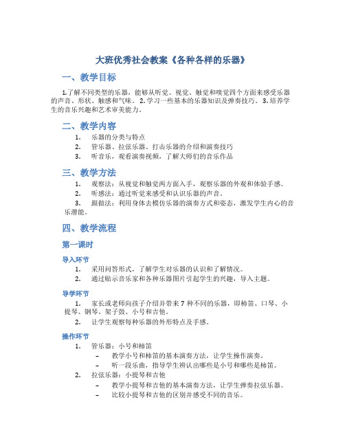 大班优秀社会教案《各种各样的乐器》