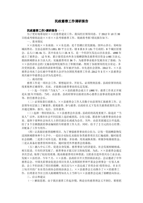 民政慈善工作调研报告