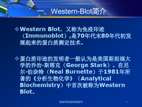 免疫印迹法的实验技术培训课件