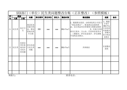 民生类整改台账(模板)