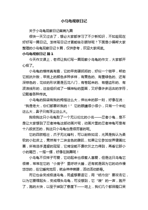 关于小乌龟观察日记集锦九篇