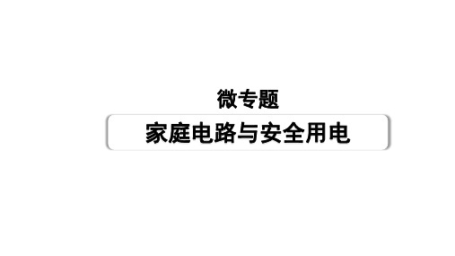 2024甘肃中考物理二轮专题复习 微专题 家庭电路与安全用电 (课件)