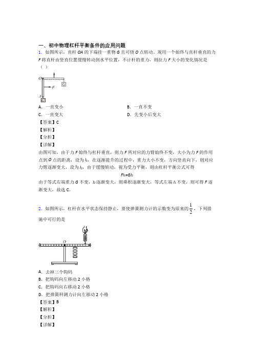 2020-2021中考物理与杠杆平衡有关的压轴题附答案解析