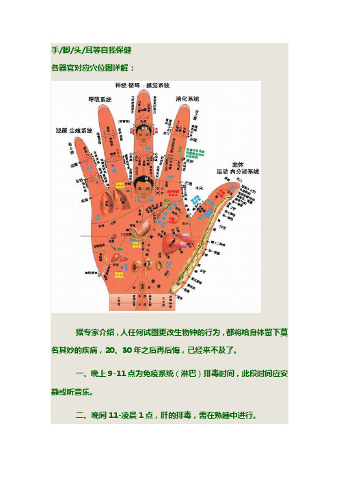 手脚对应器官