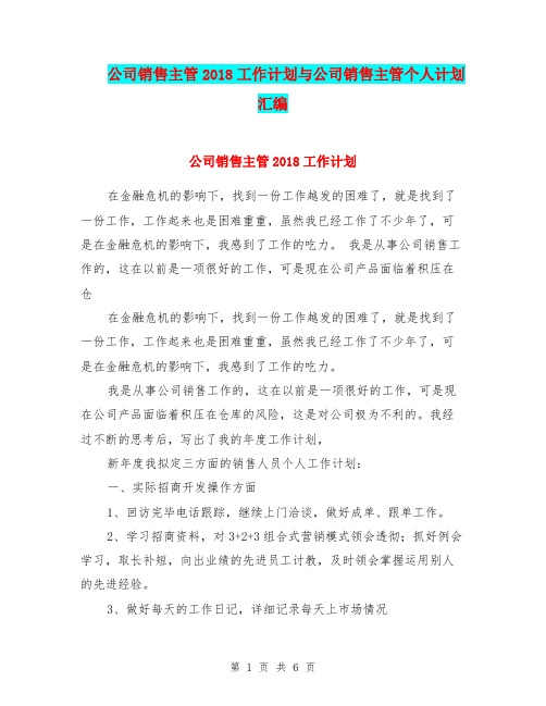 公司销售主管2018工作计划与公司销售主管个人计划汇编.doc