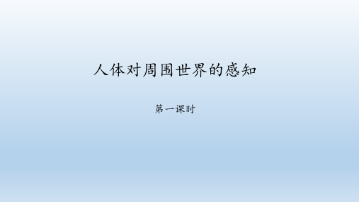 济南版生物七年级下册：5.4 人体对周围世界的感知  课件(共46张PPT)