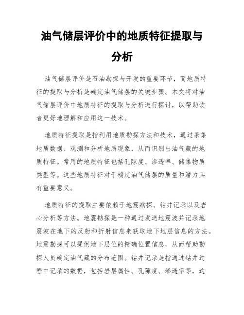 油气储层评价中的地质特征提取与分析