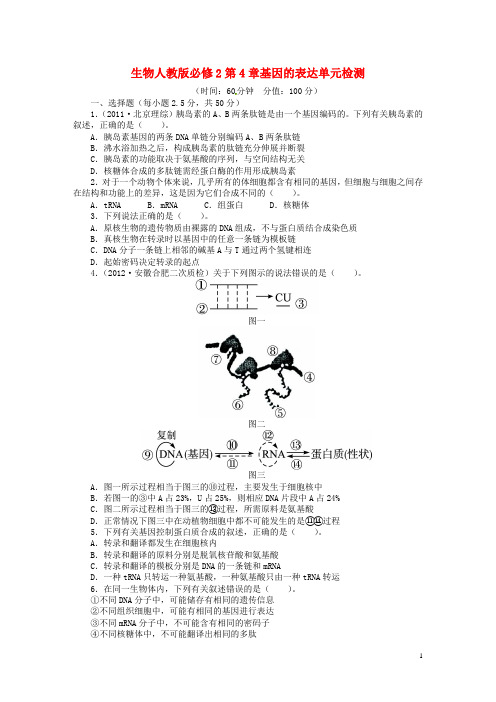 高中生物 第四章 基因的表达单元检测(含解析)新人教版必修2(1)