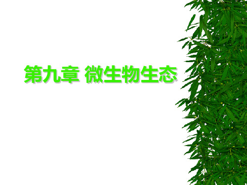 微生物生态PPT教学课件